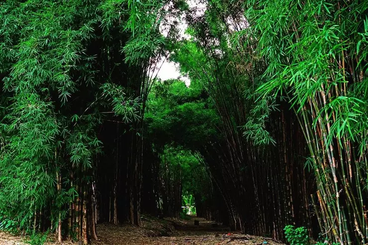 wisata surabaya seperti jepang