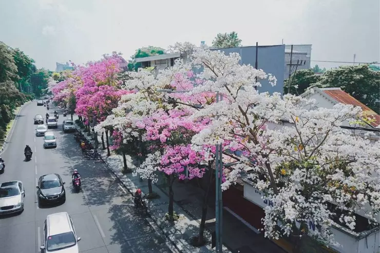 wisata surabaya seperti jepang
